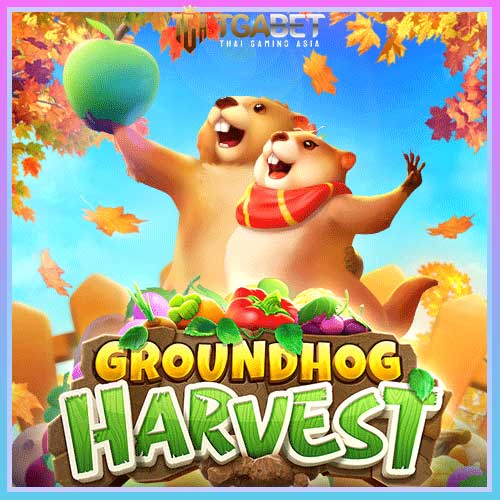 Banner-Groundhog-Harvest-ทดลองเล่นสล็อต-ค่าย-PGSLOT-ฟรี